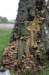 kaapsebossen_035_small.jpg