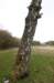 kaapsebossen_036_small.jpg