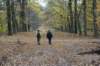 kaapsebossen_038_small.jpg