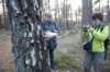 kaapsebossen_054_small.jpg