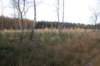 kaapsebossen_055_small.jpg