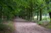 kaapsebossen2020_001_small.jpg