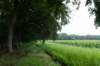 kaapsebossen2020_003_small.jpg
