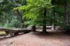 kaapsebossen2020_010_small.jpg