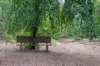 kaapsebossen2020_012_small.jpg