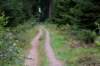 kaapsebossen2020_014_small.jpg