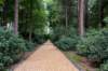 kaapsebossen2020_015_small.jpg