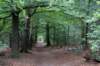 kaapsebossen2020_020_small.jpg