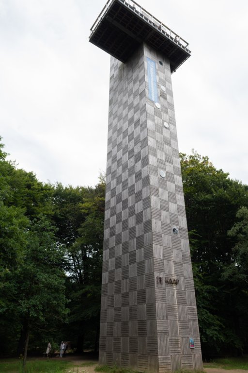 kaapsebossen2020_021.jpg