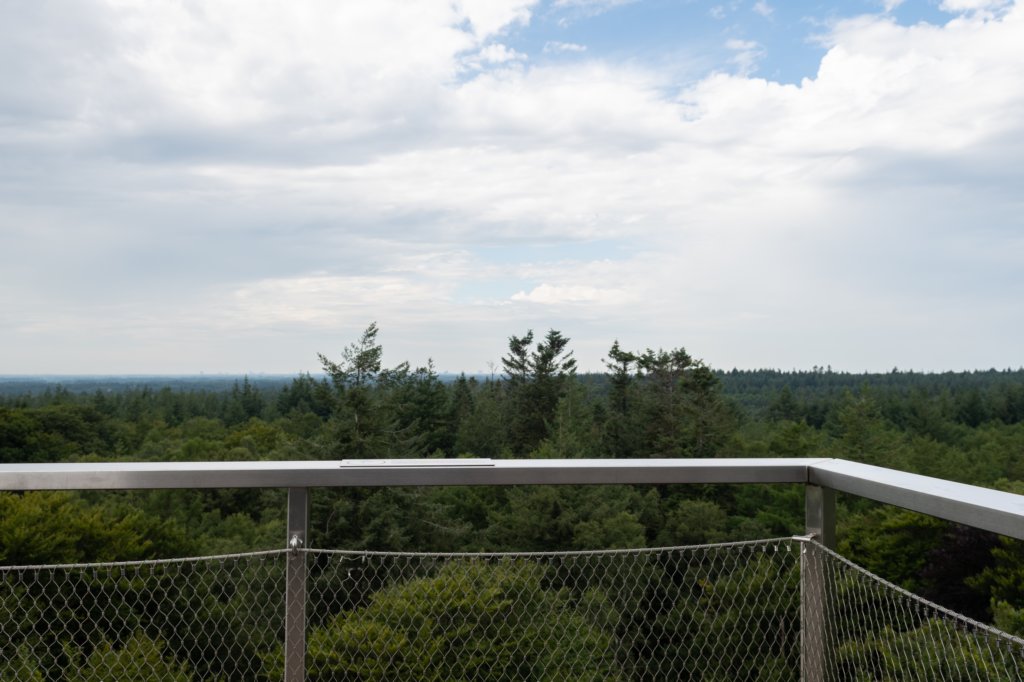 kaapsebossen2020_022.jpg