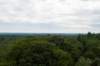 kaapsebossen2020_024_small.jpg