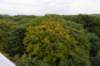 kaapsebossen2020_025_small.jpg