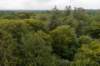 kaapsebossen2020_026_small.jpg