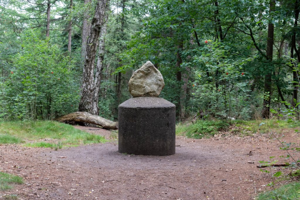 kaapsebossen2020_028.jpg