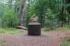 kaapsebossen2020_028_small.jpg