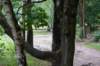 kaapsebossen2020_031_small.jpg