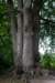 kaapsebossen2020_035_small.jpg