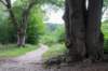 kaapsebossen2020_037_small.jpg