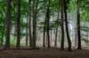 kaapsebossen2020_039_small.jpg
