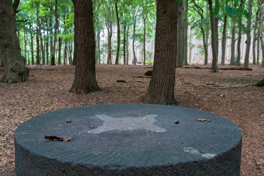 kaapsebossen2020_040.jpg