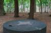 kaapsebossen2020_040_small.jpg