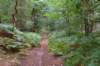 kaapsebossen2020_041_small.jpg