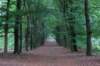 kaapsebossen2020_048_small.jpg