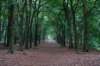 kaapsebossen2020_049_small.jpg