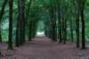 kaapsebossen2020_050_small.jpg