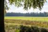 kaapsebossen2022_002_small.jpg