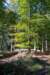 kaapsebossen2022_011_small.jpg