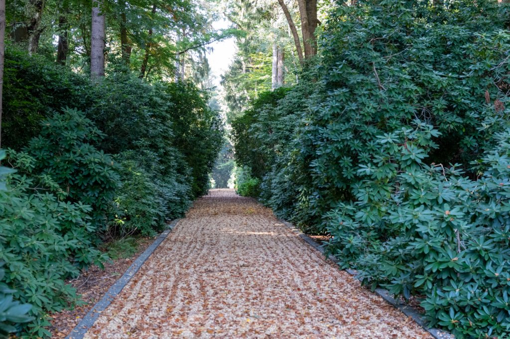 kaapsebossen2022_014.jpg