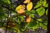 kaapsebossen2022_023_small.jpg