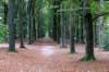 kaapsebossen2022_039_small.jpg