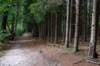 kaapsebossen2022_041_small.jpg