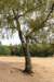 kaapsebossen2022_043_small.jpg