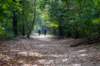 kaapsebossen2022_044_small.jpg
