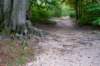 kaapsebossen2022_045_small.jpg