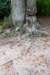 kaapsebossen2022_046_small.jpg