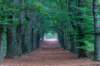 kaapsebossen2022_058_small.jpg