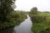 kampina_001_small.jpg