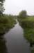 kampina_002_small.jpg