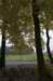 kampina_004_small.jpg