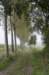 kampina_005_small.jpg