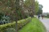 kampina_007_small.jpg