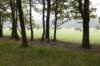 kampina_009_small.jpg