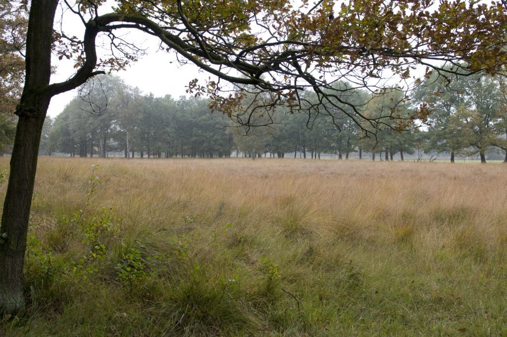 kampina_010.jpg