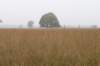 kampina_019_small.jpg