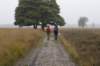 kampina_021_small.jpg