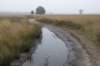 kampina_022_small.jpg